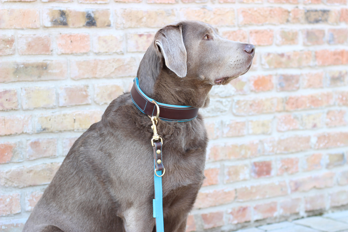 FinestPaw_Leine_Soft_Komfort_Fuehrleine_braun-tuerkis_all_all_all_set1