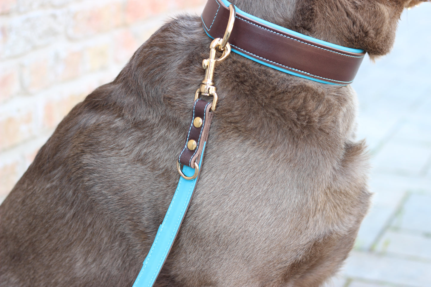 FinestPaw_Leine_Soft_Komfort_Fuehrleine_braun-tuerkis_all_all_all_set2