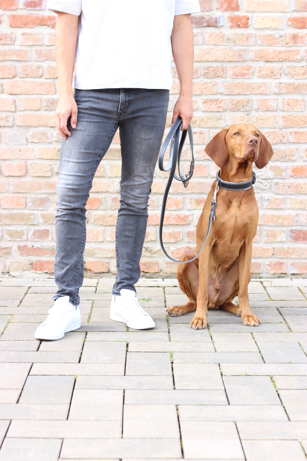 FinestPaw_Leine_Soft_Komfort_Fuehrleine_schwarz-grau_all_all_all_set2