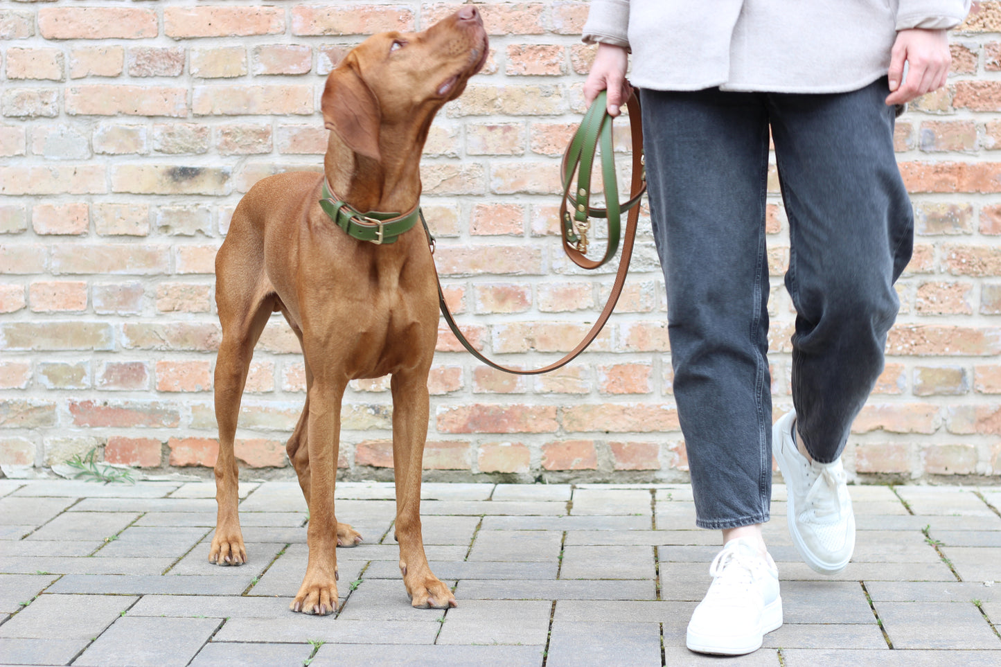 FinestPaw_Leine_Soft_Komfort_Fuehrleine_waldgruen-cognac_all_all_all_set1