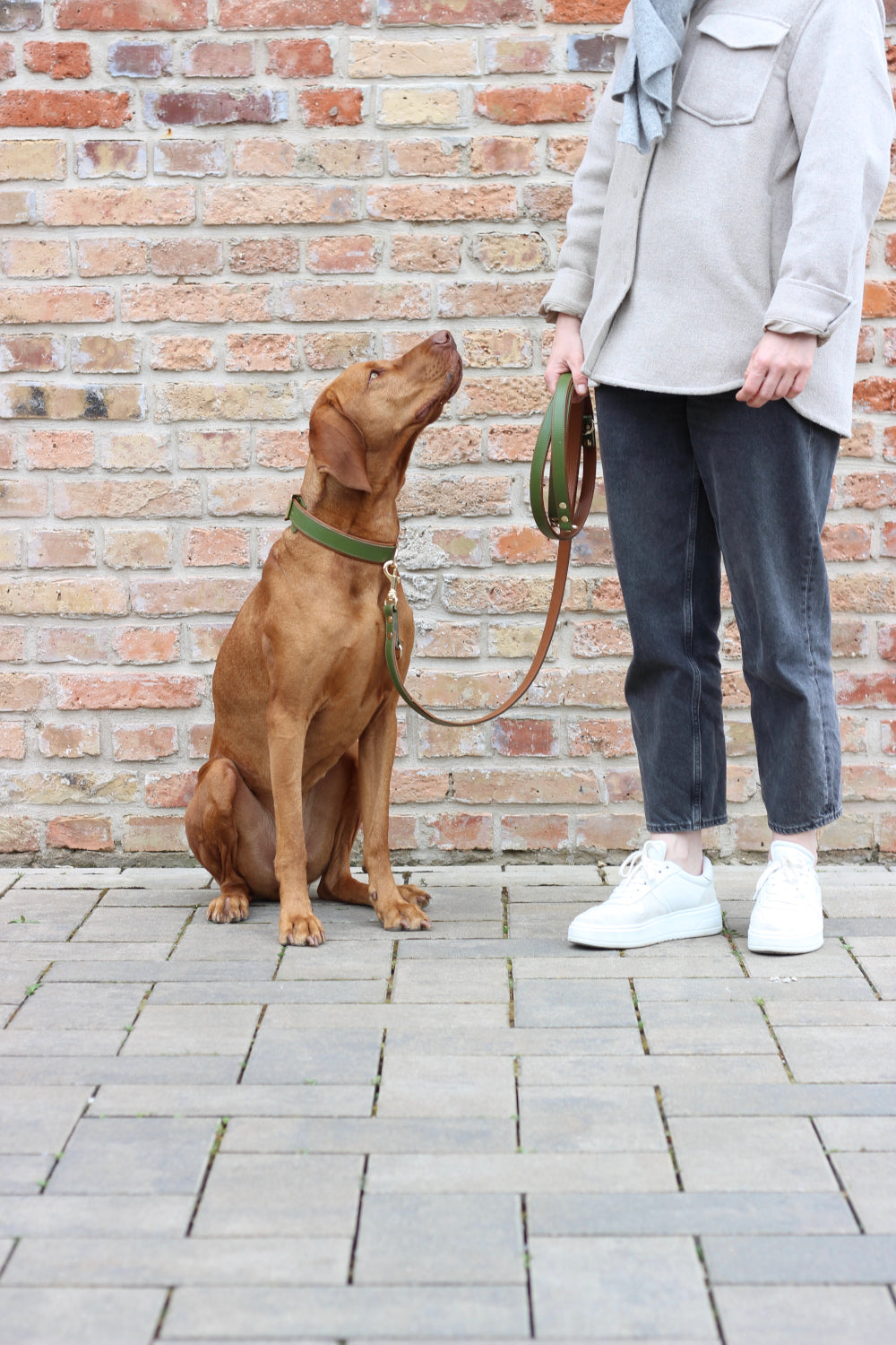 FinestPaw_Leine_Soft_Komfort_Fuehrleine_waldgruen-cognac_all_all_all_set2