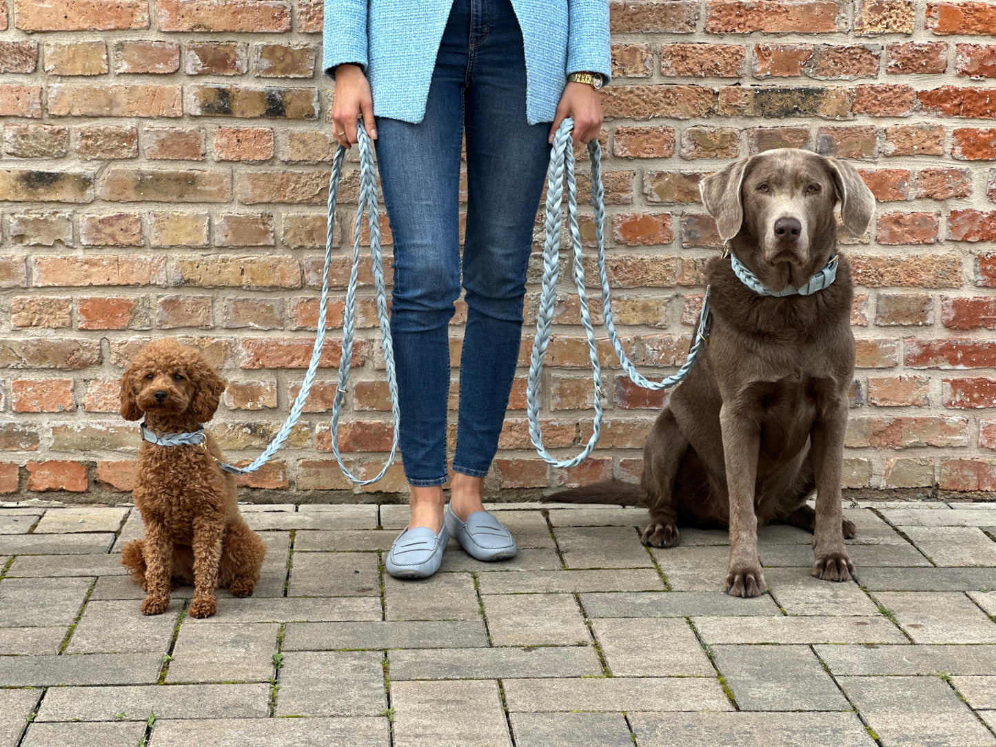 FinestPaw_Leine_Vollgeflochten_Fuehrleine_hellblau_all_all_all_set3