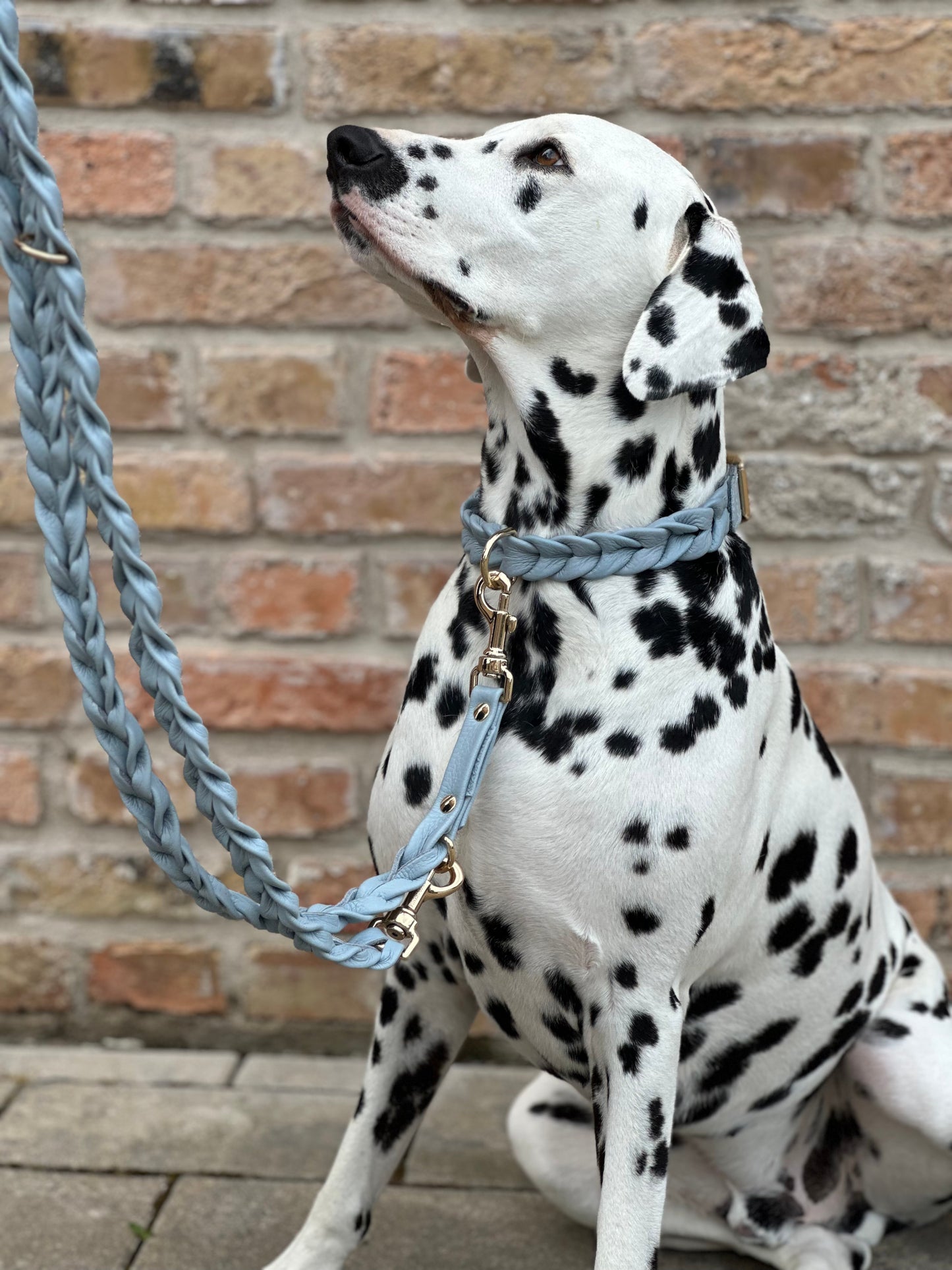 FinestPaw_Leine_Vollgeflochten_Fuehrleine_hellblau_all_all_all_set5