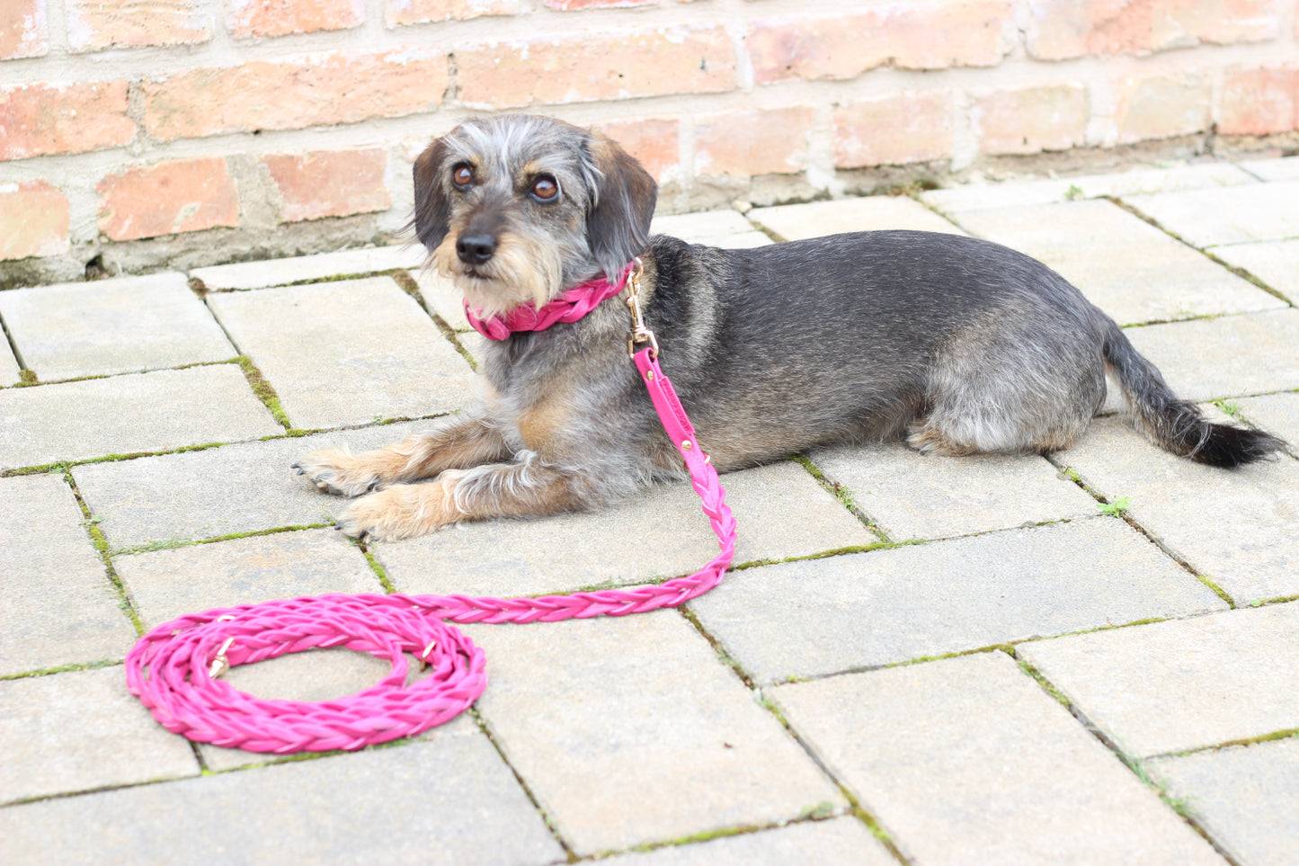FinestPaw_Leine_Vollgeflochten_Fuehrleine_pink_all_all_all_setA