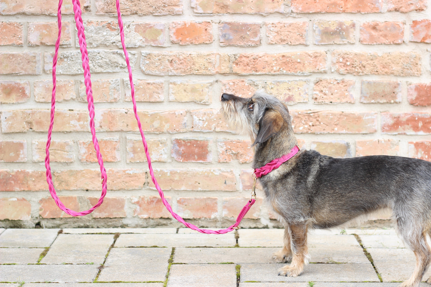FinestPaw_Leine_Vollgeflochten_Fuehrleine_pink_all_all_all_setB