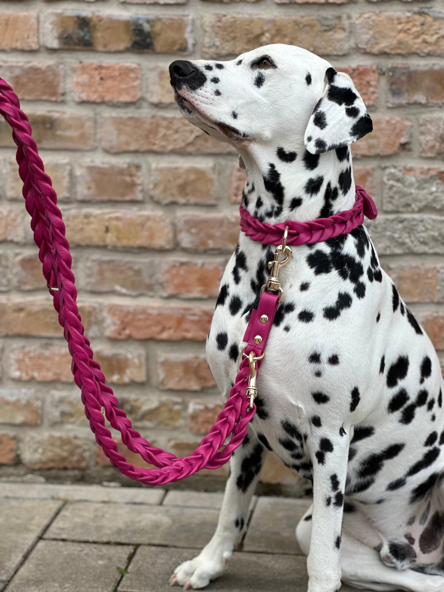 FinestPaw_Leine_Vollgeflochten_Fuehrleine_pink_all_all_all_setC