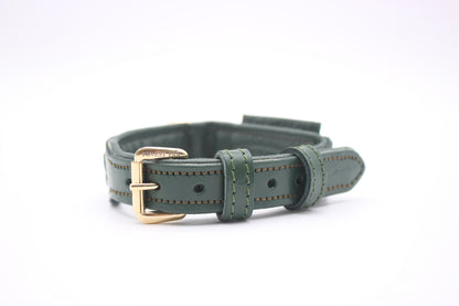 FinestPaw_Halsband_Flechtkunst_fichte_xs_gold_front