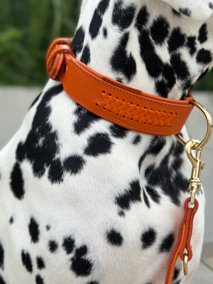 FinestPaw_Halsband_Flechtkunst_papaya_all_all_set1