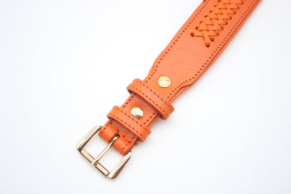FinestPaw_Halsband_Flechtkunst_papaya_xxl_gold_schnalle