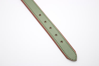 FinestPaw_Halsband_Klassik_Premium_salbei_m_all_loecher