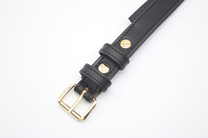 FinestPaw_Halsband_Klassik_Premium_schwarz_m_gold_schnalle