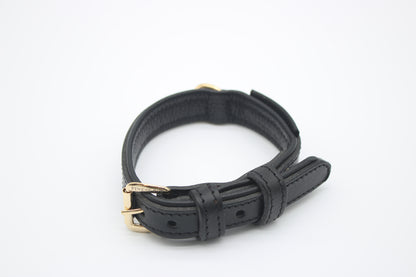 FinestPaw_Halsband_Klassik_Premium_schwarz_xs_gold_oben