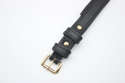FinestPaw_Halsband_Klassik_Premium_schwarz_xs_gold_schnalle