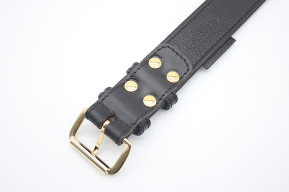 FinestPaw_Halsband_Klassik_Premium_schwarz_xxl_gold_back
