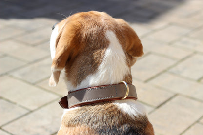 FinestPaw_Halsband_Klassik_Premium_taupe_all_all_dring