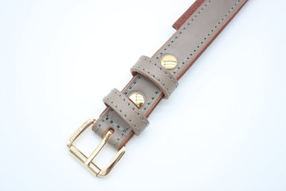 FinestPaw_Halsband_Klassik_Premium_taupe_m_gold_schnalle