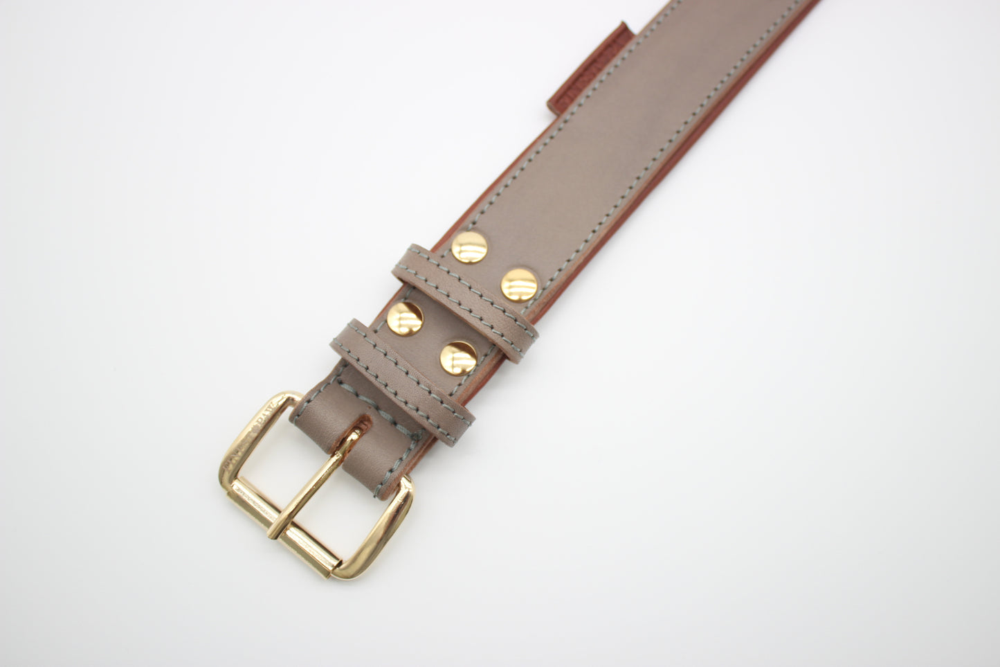 FinestPaw_Halsband_Klassik_Premium_taupe_xxl_gold_schnalle