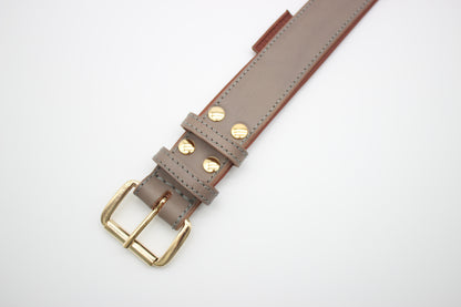 FinestPaw_Halsband_Klassik_Premium_taupe_xxl_gold_schnalle