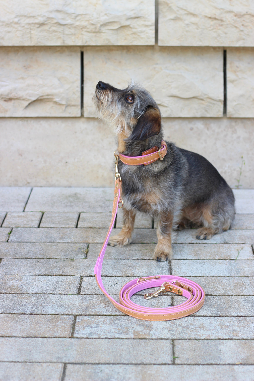 FinestPaw_Halsband_Soft_Komfort_beige-rosa_all_all_set