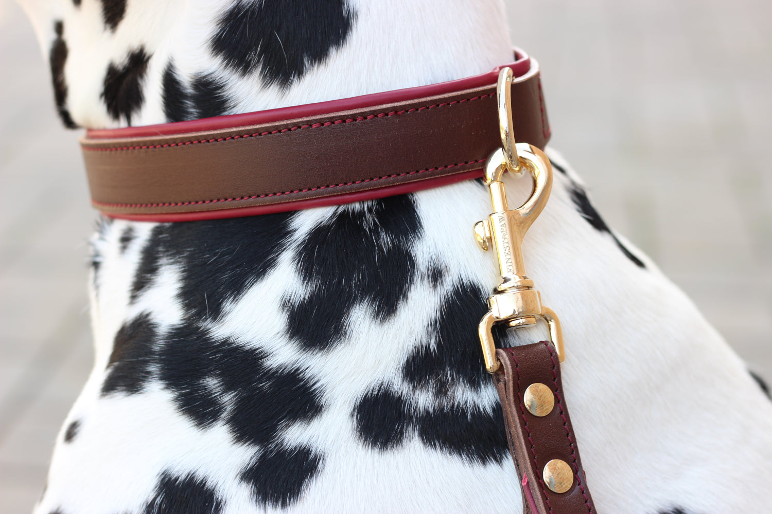FinestPaw_Halsband_Soft_Komfort_braun-bordeaux_all_all_set1