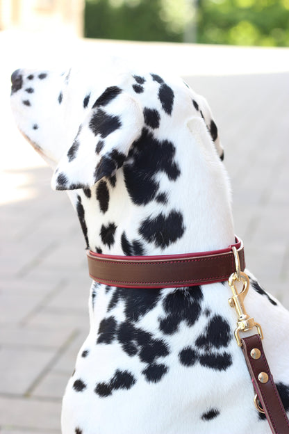FinestPaw_Halsband_Soft_Komfort_braun-bordeaux_all_all_set2