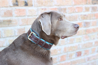 FinestPaw_Halsband_Soft_Komfort_braun-tuerkis_all_all_set2