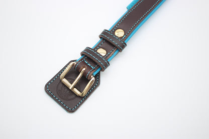 FinestPaw_Halsband_Soft_Komfort_braun-tuerkis_m_gold_schnalle