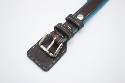 FinestPaw_Halsband_Soft_Komfort_braun-tuerkis_m_silber_schnalle