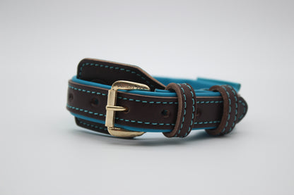 FinestPaw_Halsband_Soft_Komfort_braun-tuerkis_xs_gold_front