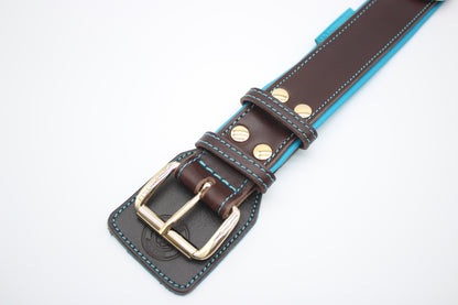 FinestPaw_Halsband_Soft_Komfort_braun-tuerkis_xxl_gold_schnalle