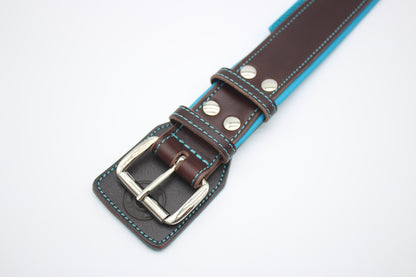 FinestPaw_Halsband_Soft_Komfort_braun-tuerkis_xxl_silber_schnalle