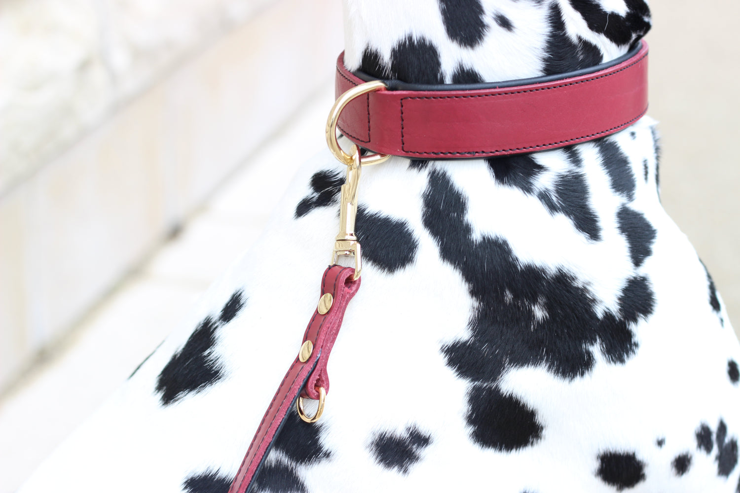 FinestPaw_Halsband_Soft_Komfort_rot-schwarz_all_all_set1