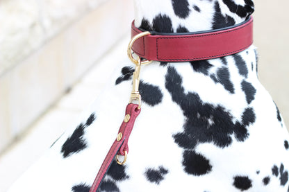 FinestPaw_Halsband_Soft_Komfort_rot-schwarz_all_all_set1