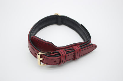 FinestPaw_Halsband_Soft_Komfort_rot-schwarz_m_all_oben
