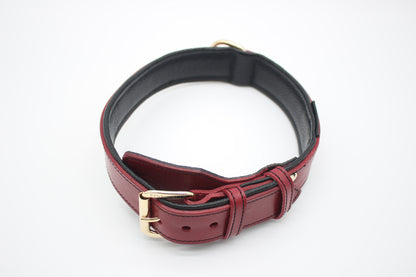 FinestPaw_Halsband_Soft_Komfort_rot-schwarz_xxl_all_oben