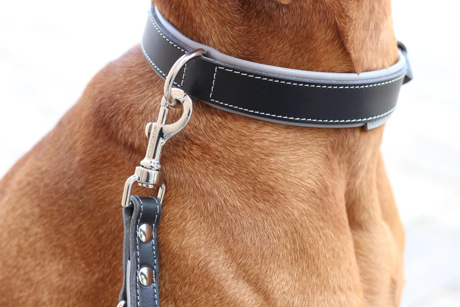 FinestPaw_Halsband_Soft_Komfort_schwarz-grau_all_all_set2