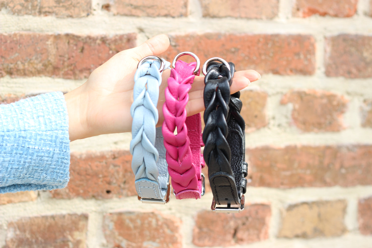 FinestPaw_Halsband_Vollgeflochten_all_all_all_wow