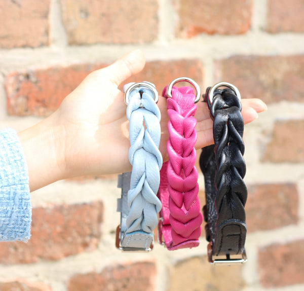 FinestPaw_Halsband_Vollgeflochten_alleFarben_Colleciton