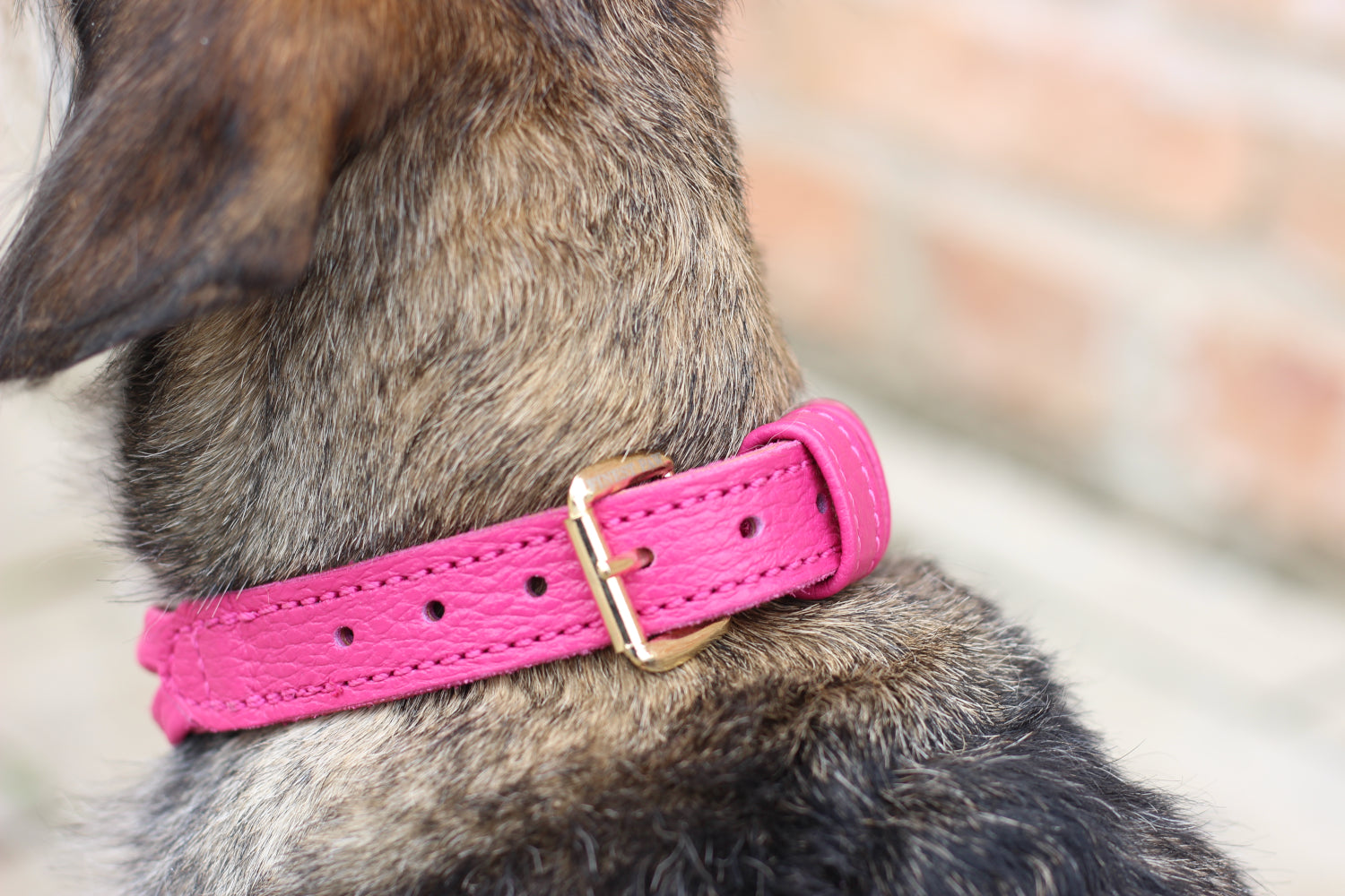 FinestPaw_Halsband_Vollgeflochten_pink_all_all_back