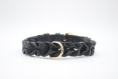 FinestPaw_Halsband_Vollgeflochten_schwarz_xxl_gold_back