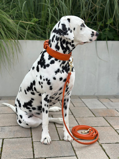 FinestPaw_Leine_Flechtkunst_Fuehrleine_papaya_all_all_all_set1