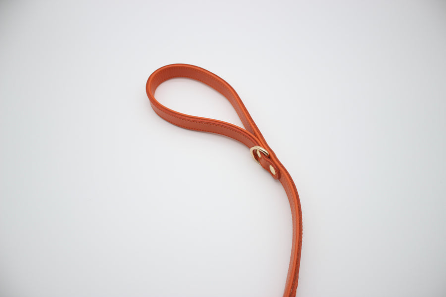 FinestPaw_Leine_Kurzleine_Cityleine_papaya_all_all_all_handschlaufe1