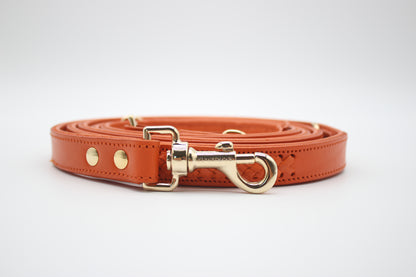 FinestPaw_Leine_Flechtkunst_Kurzleine_papaya_all_all_silber_logo