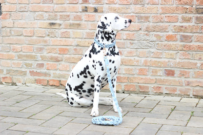 FinestPaw_Leine_Vollgeflochten_Fuehrleine_hellblau_all_all_all_set4