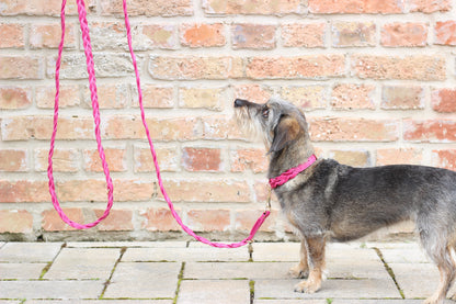 FinestPaw_Leine_Vollgeflochten_Fuehrleine_pink_all_all_all_setB
