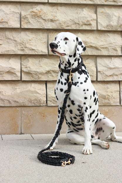 FinestPaw_Leine_Vollgeflochten_Fuehrleine_schwarz_all_all_all_cooper1