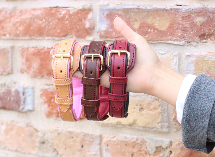 FinestPaw_Soft_6_Colors_outdoor1 Hundehalsband
