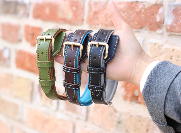 FinestPaw_Soft_6_Colors_outdoor2 Hundehalsband