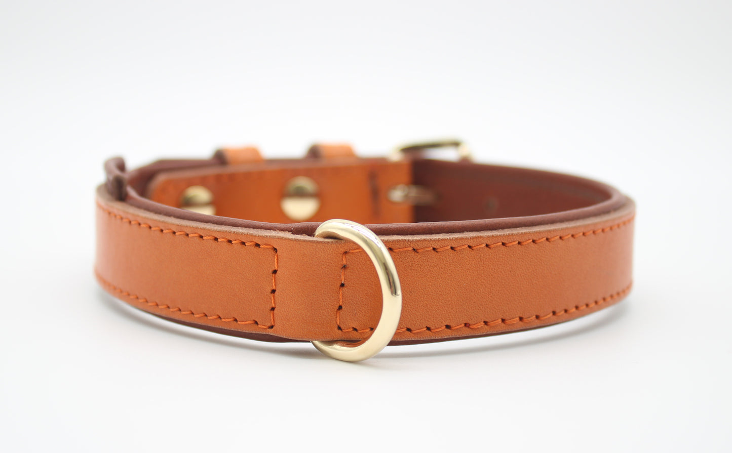FinestPaw_Halsband_Klassik_Premium_orange_m_gold_dring
