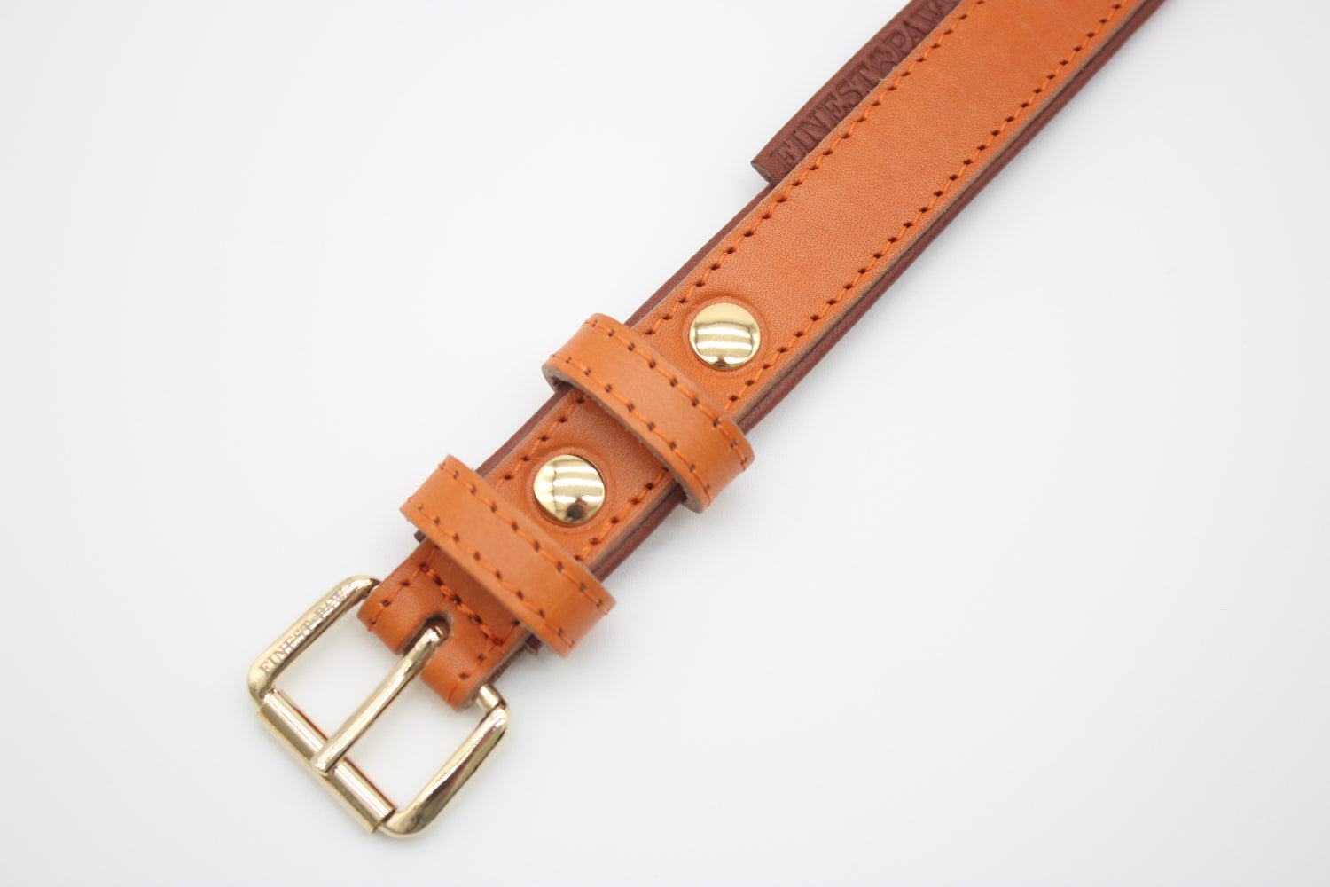 FinestPaw_Halsband_Klassik_Premium_orange_m_gold_schnalle